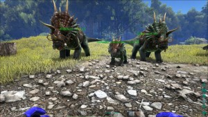 ark_familie_trike